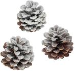 Oostenrijker dennenappel Pinus Nigra sneeuw 250 gr, Hobby en Vrije tijd, Knutselen, Ophalen of Verzenden, Nieuw