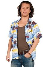 Hawaii Blouse Aanbieding Toppers - XL, Kleding | Dames, Carnavalskleding en Feestkleding, Verzenden, Nieuw