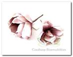 Magnolia foambloem Kort Old Pink DOOS 12 stuks Magnolia, Huis en Inrichting, Ophalen of Verzenden, Nieuw