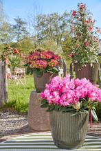 2dekans | Mica Decorations Rio Bloempot voor Buiten - H41 x, Ophalen of Verzenden, Zo goed als nieuw