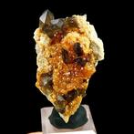 Spessartien Granaat op Rookkwarts Tongbei, Fujian, China -, Verzamelen