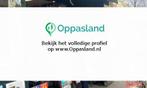 Ik ben Saar en ik zoek oppaswerk in Wageningen.