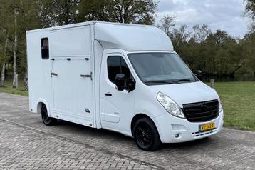 Opel Movano Sodiak opbouw  Horsetruck beschikbaar voor biedingen