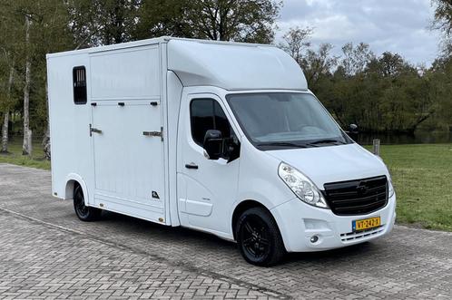 Opel Movano wit met Sodiak opbouw  Horsetruck, Dieren en Toebehoren, Paarden en Pony's | Trailers en Aanhangwagens, Gebruikt, Verzenden