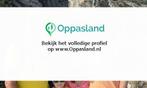 Inge zoekt een oppas in Bergen op Zoom voor 2 kinderen., Vacatures