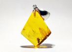 GROTE fossiele vlieg in BALTISCHE AMBER – diamodvorm –, Nieuw