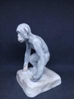 Leander - Beeldje - Chimpanzee - The Origin of the Species -