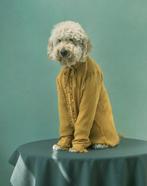 Ursula van de Bunte - Sammy No2