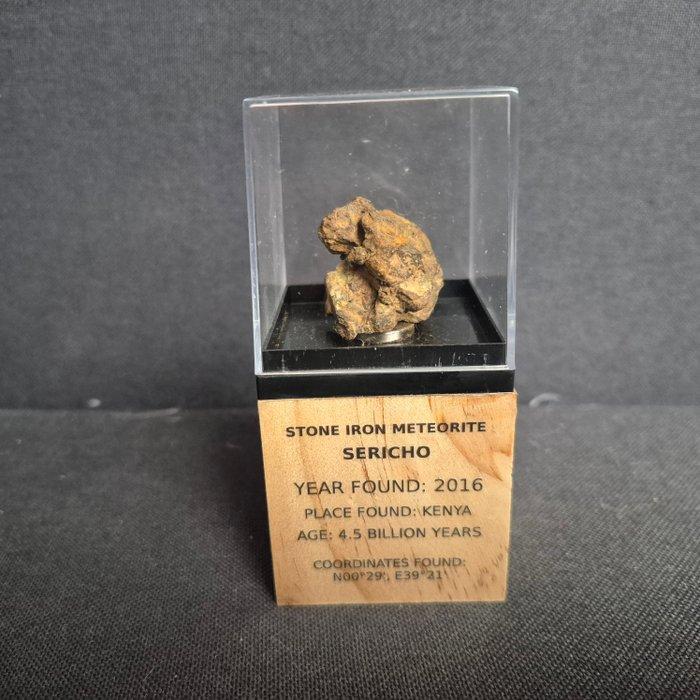 Sericho meteoriet pallasite in display - pallasite - Hoogte:, Verzamelen, Mineralen en Fossielen