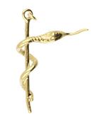 Gouden Esculaap ketting hanger, Sieraden, Tassen en Uiterlijk, Verzenden, Nieuw