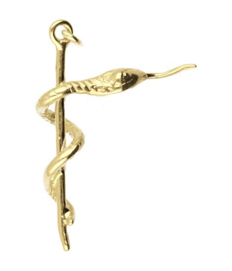 Gouden Esculaap ketting hanger, Sieraden, Tassen en Uiterlijk, Kettinghangers, Verzenden