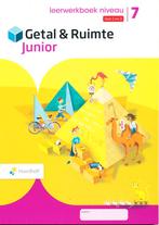 Getal en Ruimte Junior Leerwerkboek NIVEAU blok 2 en 3 groep, Boeken, Verzenden, Nieuw