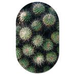Muurovaal Cactus - L - 140 x 85 cm, Verzenden, Nieuw