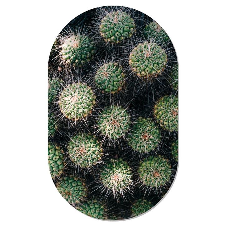 Muurovaal Cactus - L - 140 x 85 cm, Huis en Inrichting, Woonaccessoires | Wanddecoraties, Verzenden