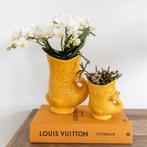 Kolibri Orchids | Set van witte orchidee Nazaré en succulent, Verzenden, Nieuw