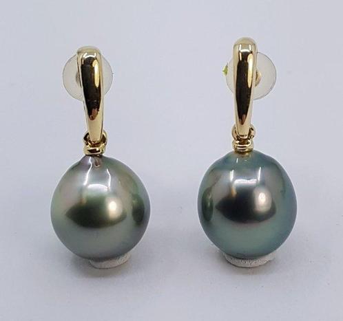 Oorbellen - 14 karaat Geel goud - 10x11mm Tahitiaanse parels, Sieraden, Tassen en Uiterlijk, Oorbellen