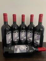 2009 Achille Boroli, Barolo Villero - Piëmont DOCG - 6 Fles, Nieuw