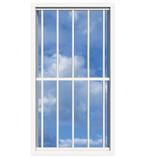 SecuBar Lichtkoepelbeveiliging Fix & Go - 5 spijls 1000x2000, Verzenden, Nieuw