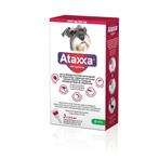 Ataxxa Spot On Anti Vlooien en Teken Druppels Hond 10-25 kg, Nieuw, Verzenden