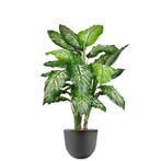 Dieffenbachia kunstplant, H115cm, Ophalen of Verzenden