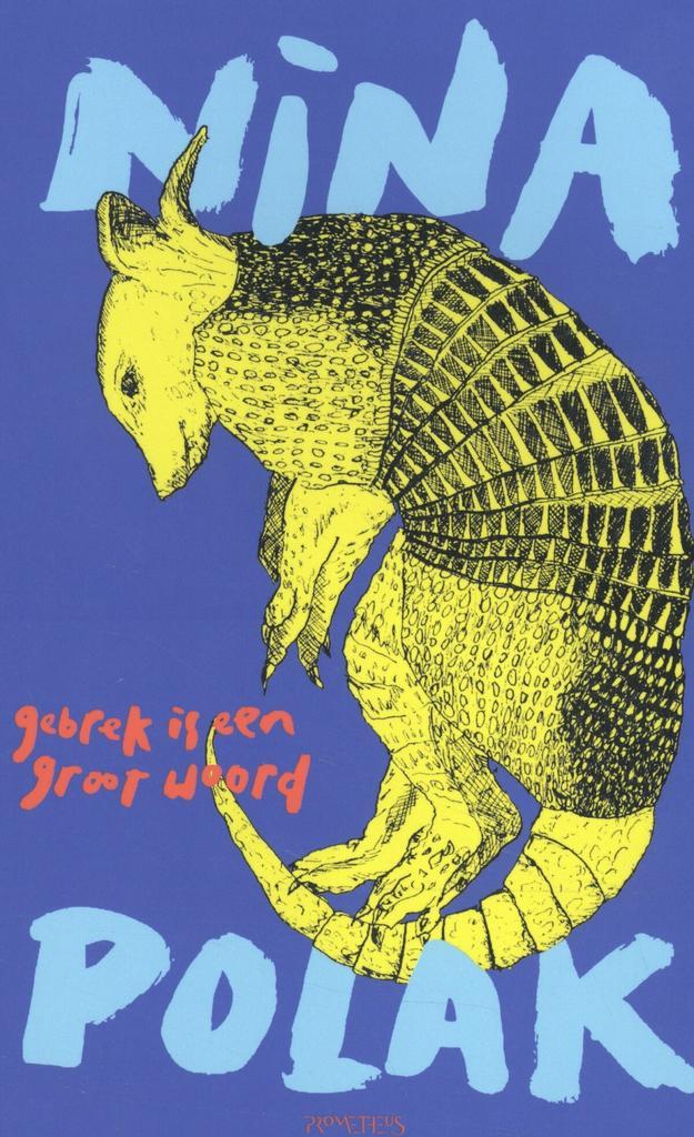 Gebrek is een groot woord (9789044647150, Nina Polak), Boeken, Romans, Nieuw, Verzenden