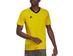 adidas - Entrada 22 Jersey - Geel Voetbalshirt - L, Sport en Fitness, Voetbal, Nieuw