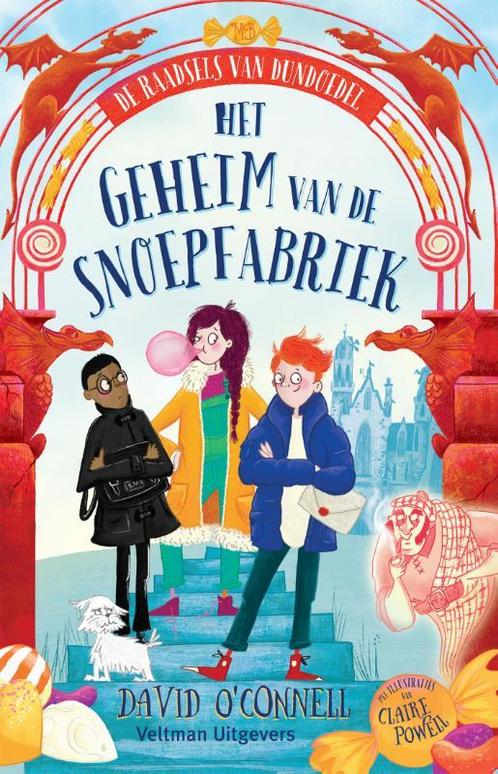 Het geheim van de snoepfabriek / De raadsels van Dundoedel, Boeken, Kinderboeken | Jeugd | 10 tot 12 jaar, Zo goed als nieuw, Verzenden