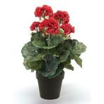 Kunstplant Geranium rood in zwarte pot 35 cm  - Kunst gera..