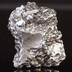 Campo del Cielo meteoriet – ijzer-nikkel met Widmanstätten, Verzamelen, Mineralen en Fossielen