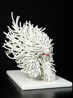 Gabor M Szoke - Flying puli, Antiek en Kunst, Kunst | Schilderijen | Modern
