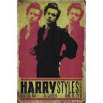Wandbord Concert Bord - Harry Styles Live On Tour 2018