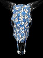 Geen minimumprijs - Prachtige koe-schedel met