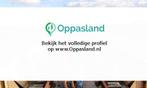 Ik ben Tess en ik zoek oppaswerk in Vlijmen., Nieuw