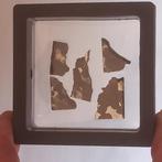 SERICHO - pallasiet meteoriet - 5 gepolijste plakken. Geen, Verzamelen, Mineralen en Fossielen