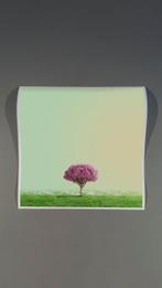 Téber - High Society (Apple)