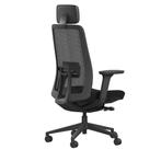 Bureaustoel Ergonice K10 (ergonomisch en verstelbaar), Zwart, Nieuw, Ophalen of Verzenden, Bureaustoel
