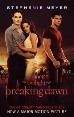 Breaking Dawn / Twilight / 4 9781907411151 Stephenie Meyer, Boeken, Taal | Engels, Gelezen, Verzenden