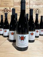 2023 Domaine Étienne de Volonzac - Mâconnais - 12 Flessen, Nieuw