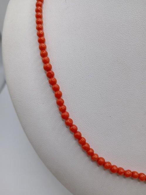 Bloedkoraal Koraal - Corallium rubrum (Zonder Minimumprijs), Verzamelen, Mineralen en Fossielen