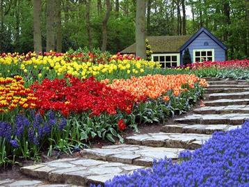 Keukenhof Korting 2023