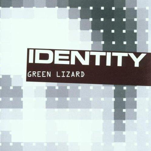 cd - Green Lizard - Identity, Cd's en Dvd's, Cd's | Overige Cd's, Zo goed als nieuw, Verzenden