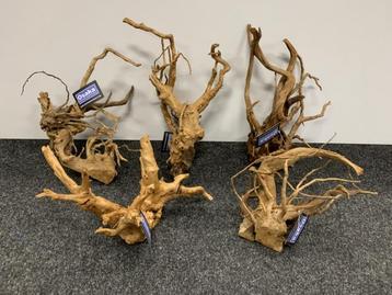 Spiderwood 35-40cm groot, aquarium decoratie hout beschikbaar voor biedingen