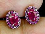 Zonder minimumprijs - Oorbellen Zilver Robijn - Sapphire, Nieuw