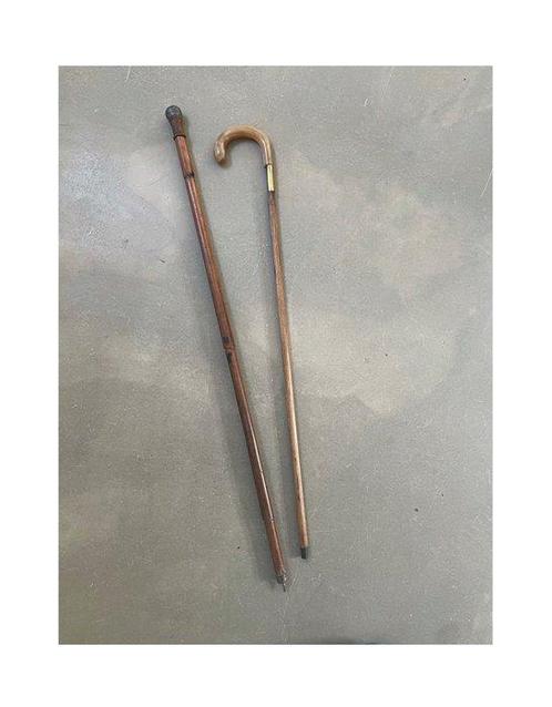 Wandelstok (2) - Hout, Leder, Messing, Antiek en Kunst, Curiosa en Brocante