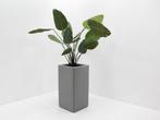 Akoestische plantenbak - 84x42x42cm (hxbxd) - wolvilt -, Werkplek, Ophalen of Verzenden, Nieuw in verpakking, Overige typen