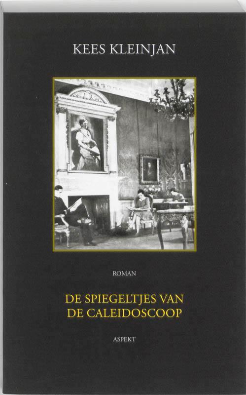 De Spiegeltjes van de Caleidoscoop 9789059118331 K. Kleinjan, Boeken, Literatuur, Gelezen, Verzenden