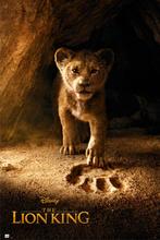 Poster Disney El Lion King Simba Real Action 61x91,5cm, Verzenden, Nieuw, A1 t/m A3