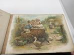 Tine van Berken - Zonnige Dagjes - 1899, Antiek en Kunst, Antiek | Boeken en Bijbels