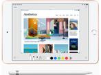 Apple iPad Mini (2019) Wi-Fi + Cellular 256GB Goud, Computers en Software, Apple iPads, Verzenden, Zo goed als nieuw