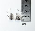 2 x oorhangers Meteorit Campo del Cielo / nieuw 925.